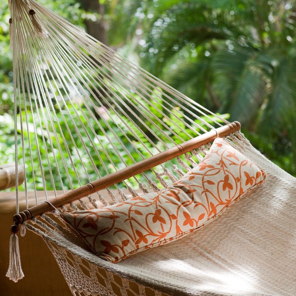hammock with plants in background