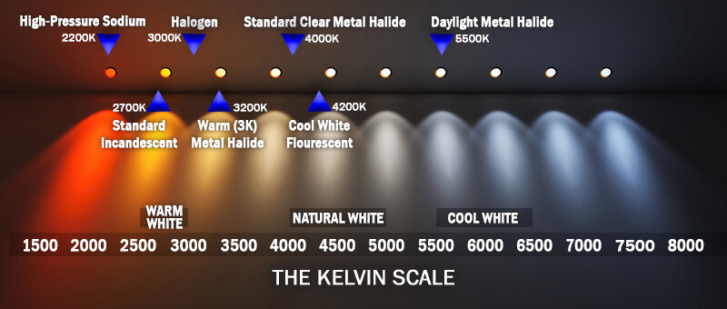 understanding kelvin in lighting