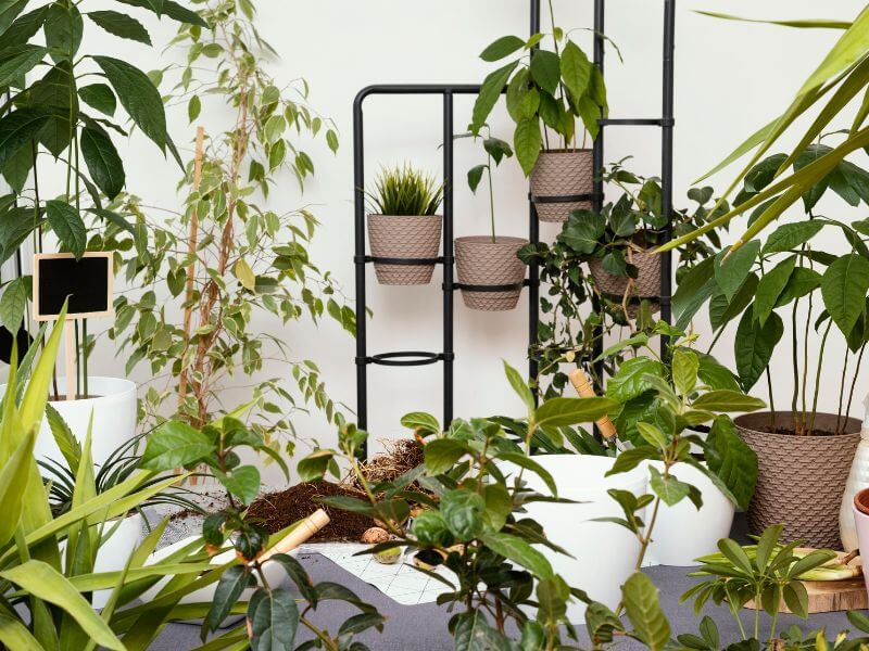 indoor garden for apartments